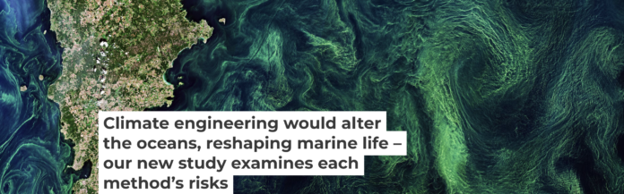 Phytoplankton blooms, seen by satellite in the Baltic Sea, pull carbon dioxide out of the atmosphere. European Space Agency via Flickr, CC BY-SA